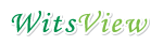 WitsView